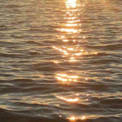 贝博app代言艾弗森下载手机版